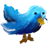 Follow me on Twitter